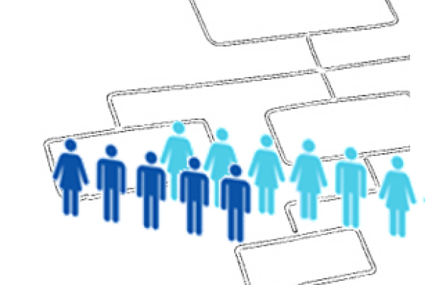 Staff and Organisation Chart